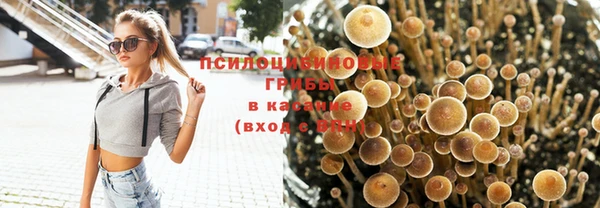 крисы Белоозёрский